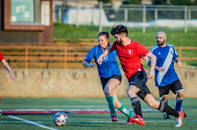 Ligue soccer
