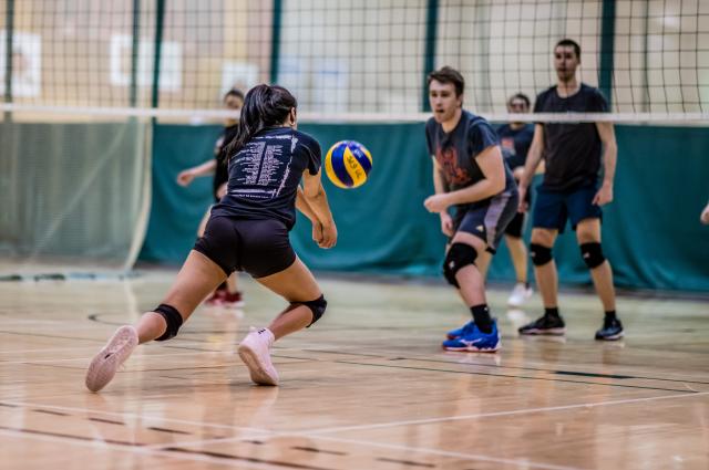 Volleyball